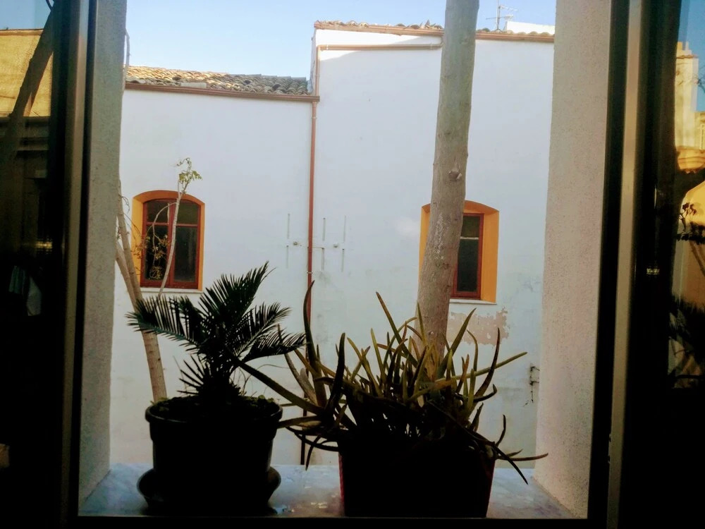 Stranizza damuri, al Capo vero cuore di Palermo vedi anche atocà1