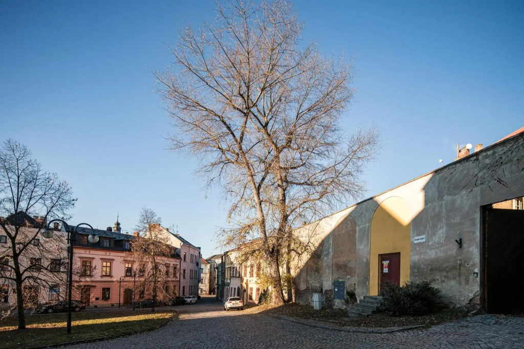 Silvie Apartments - Blažejský