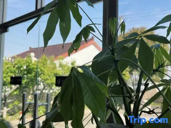 Shanghai Wuqi Xiaozhu Homestay