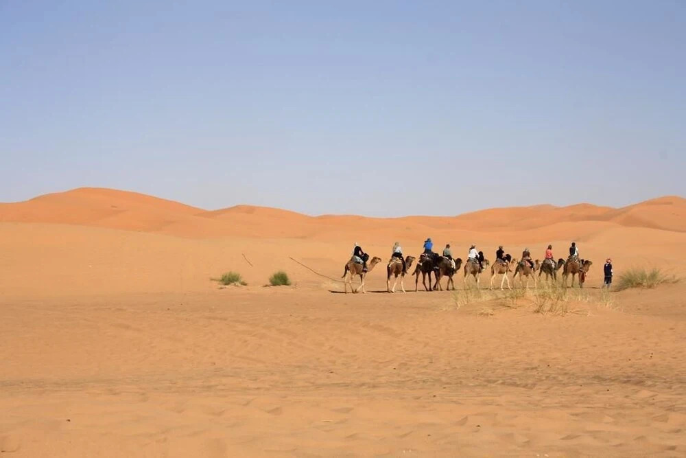Dunehouse