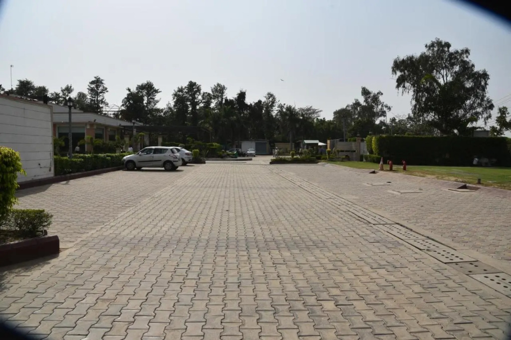 Opulent by Udman Chhattarpur