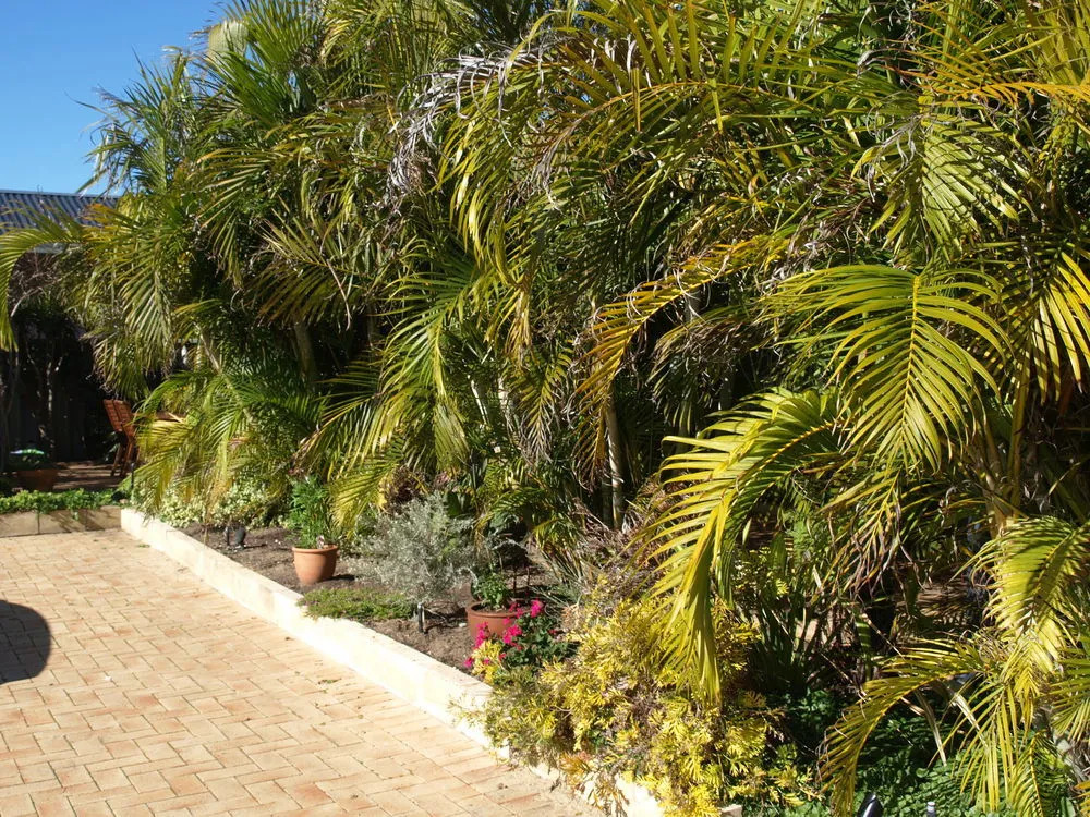 Baudins of Busselton Bed and Breakfast