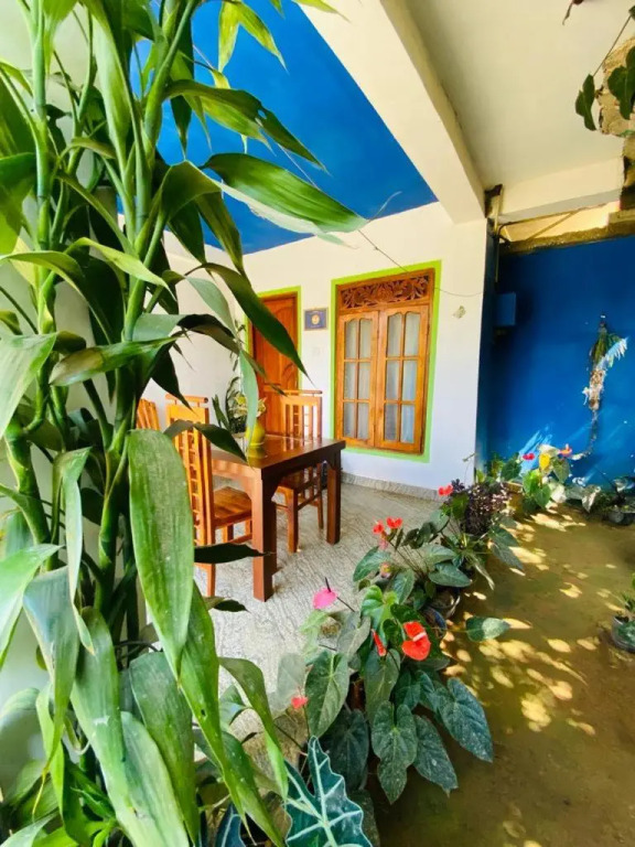 Mellow Homestay