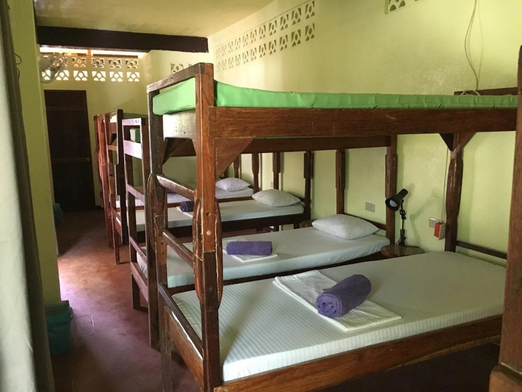 Elternative Hostel