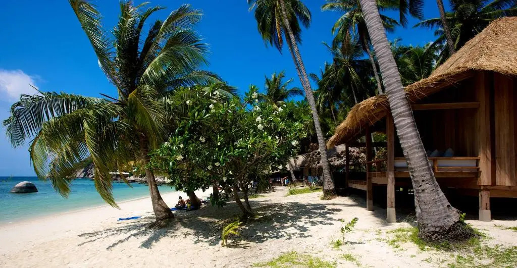 Luxury 2 Bedroom Bahia Principe Condo