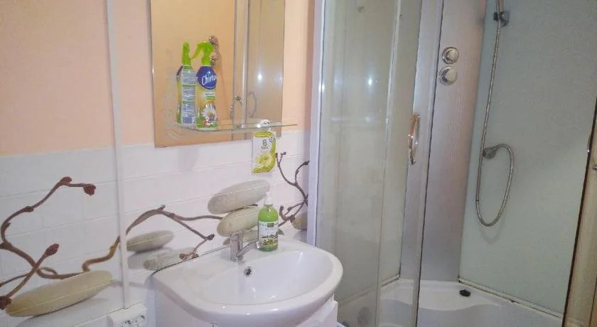 Mini-Hotel Brusnika