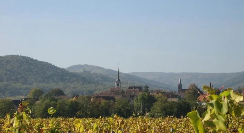 Chambre dhôtes La Forestière
