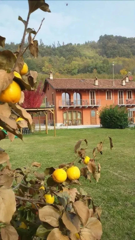 Mammanella