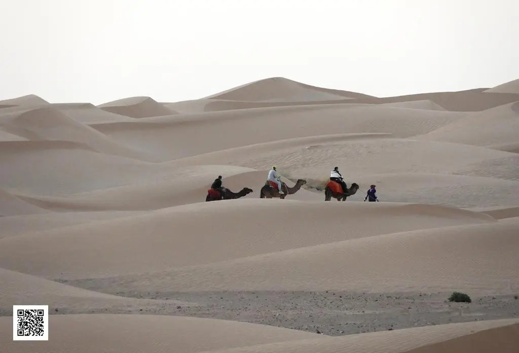Luxury Desert Camp