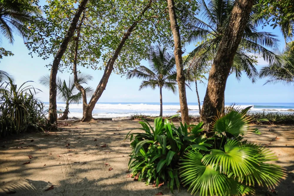 Nekaui Beachside Villa 3 - Experience Nature