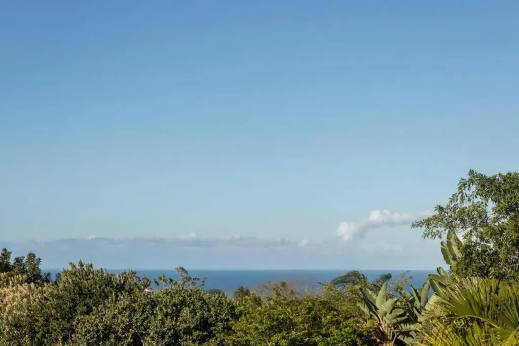 Sun n Surf Sunny and spotless 1 bedroom apartment