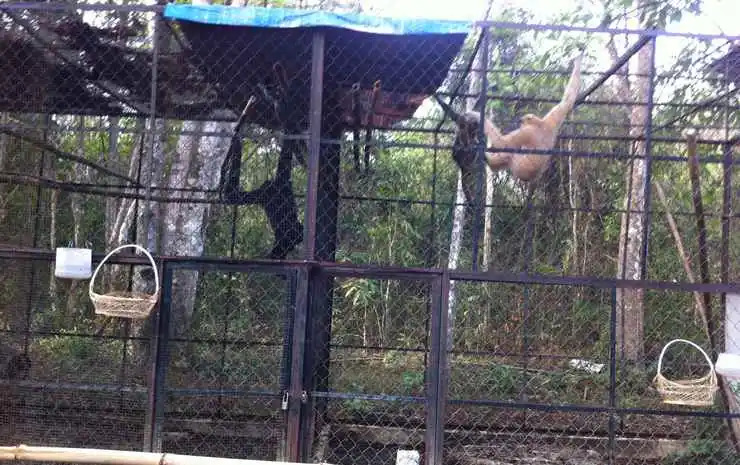 Thuy Tien Ecolodge