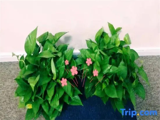 Hefei Banwo Tongxing Yingsu Apartment