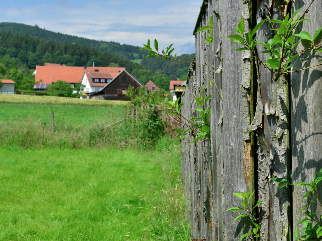 Ferienhaus in Stormbruch mit Terrasse