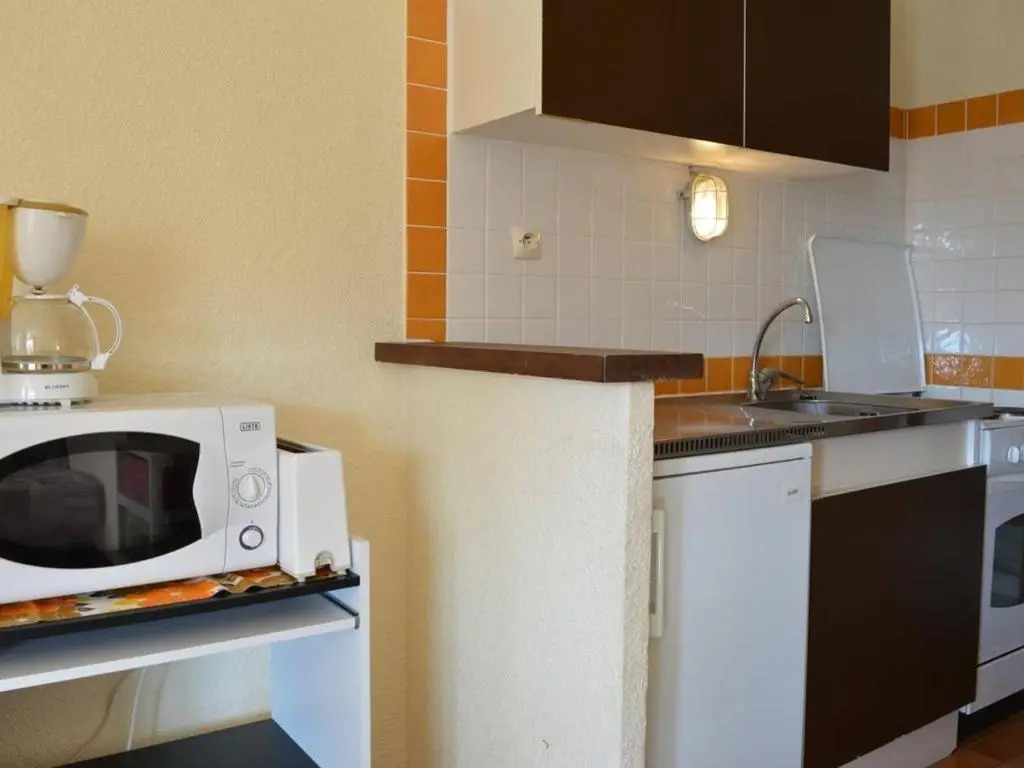Appartement Argelès-sur-Mer, 1 pièce, 4 personnes - FR-1-225-17