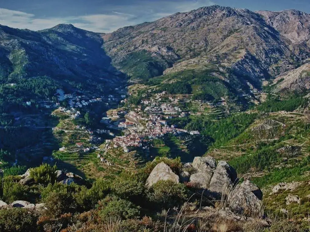 O Vicente