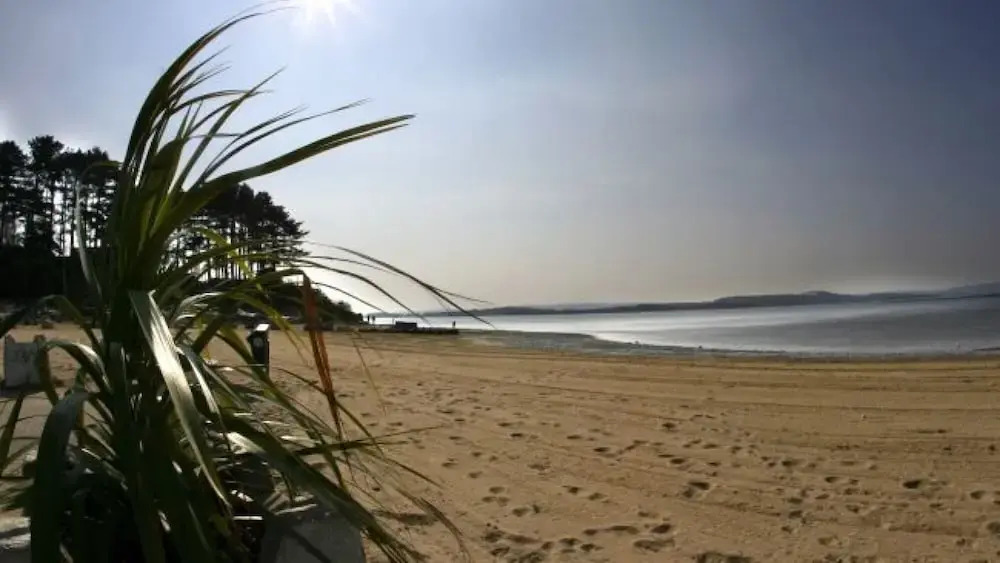 Driftwood in Poole With 3 Bedrooms and 3 Bathrooms
