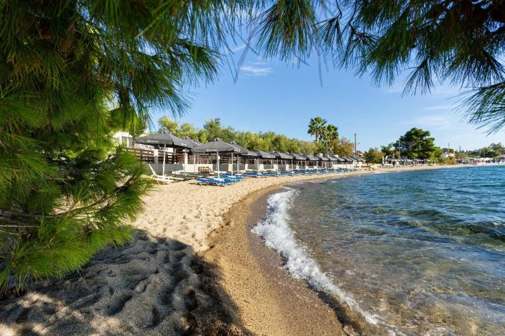 Paradisos Holiday