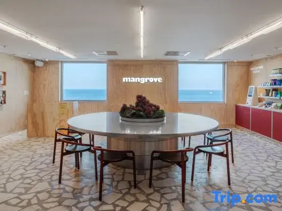 Mangrove Jeju City