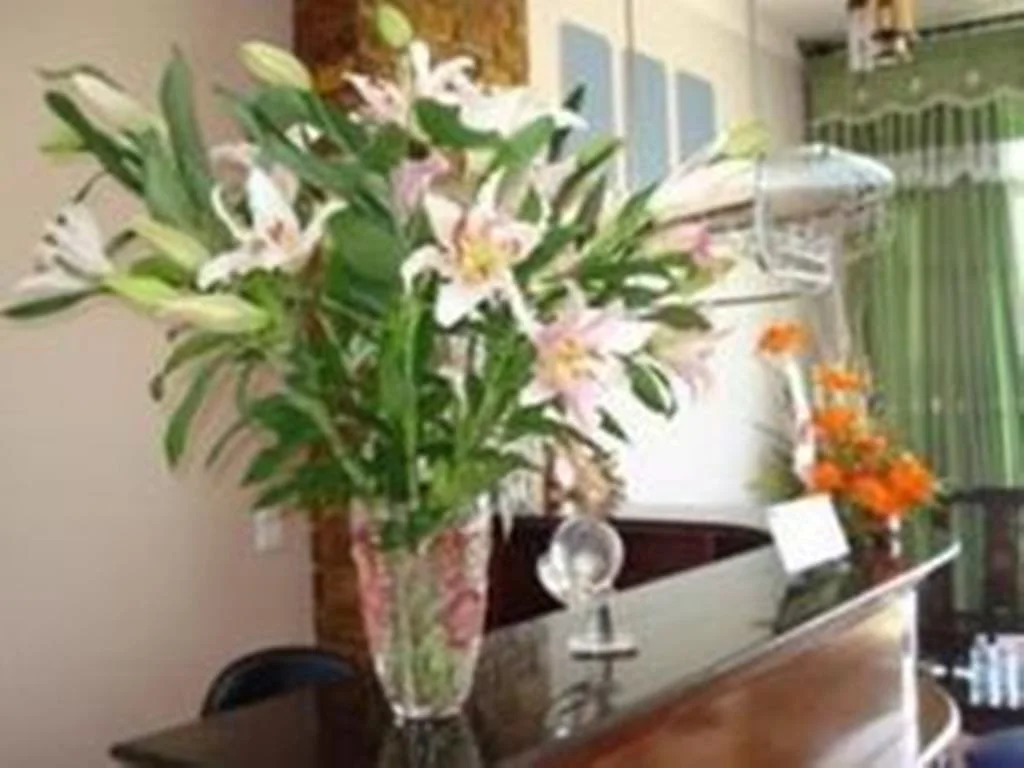 Quynh Lien hotel