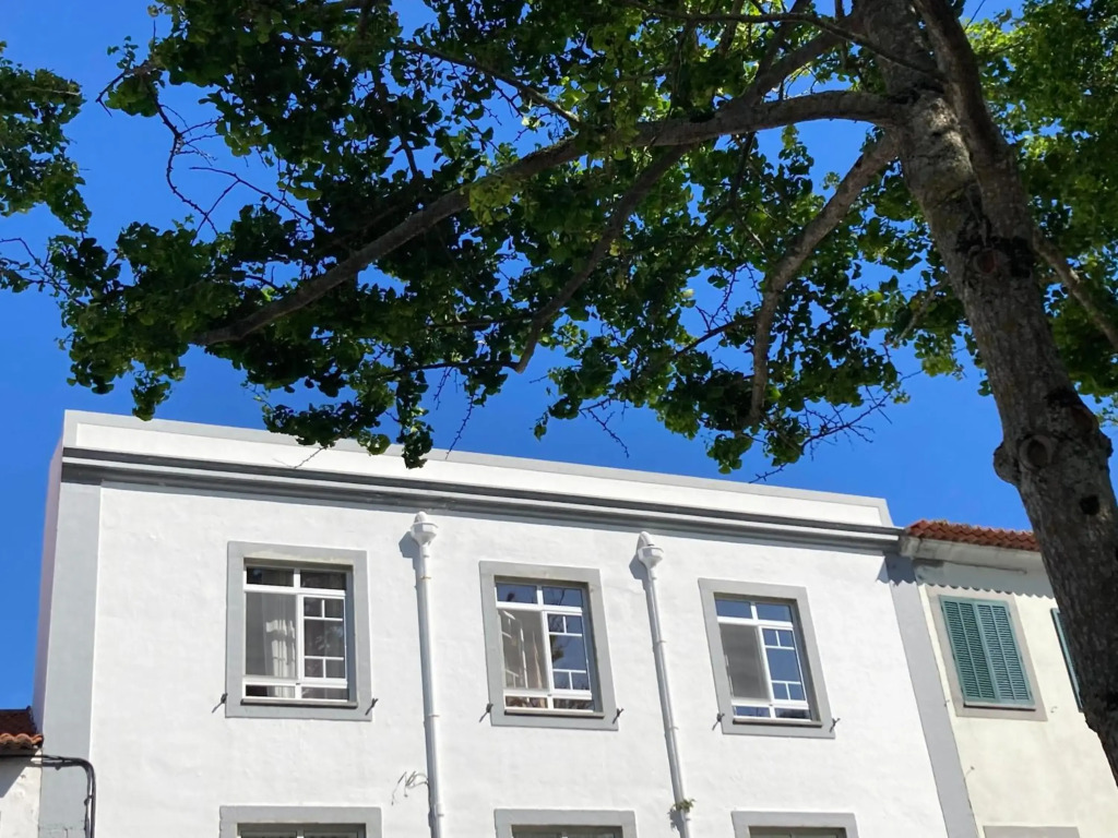 Garden View Apartment