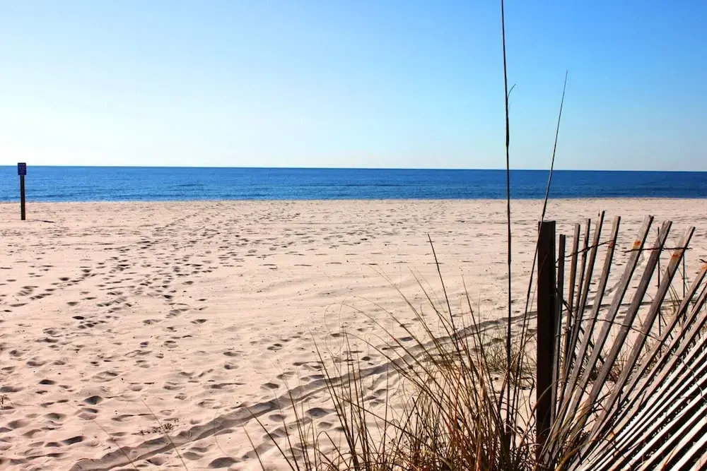 Sea Oats 102c- Beach View Pool 25 Steps to Beach
