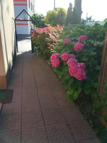 Willa Patio