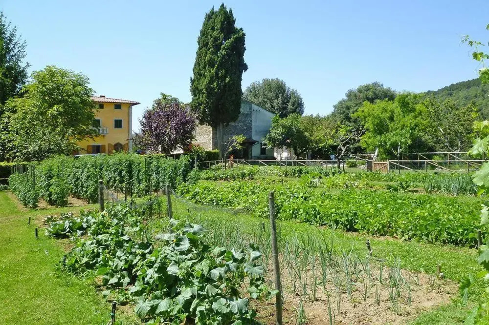 Fattoria I Tribbi