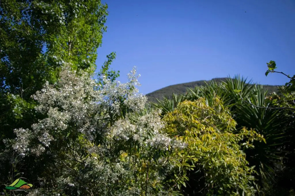 Cuevas De Barreto