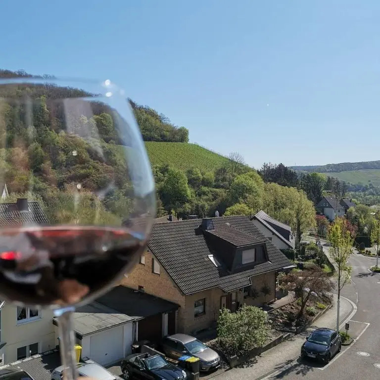 Ahrtal Vier Sterne Ferienwohnungen Alexandra Weiler Panorama