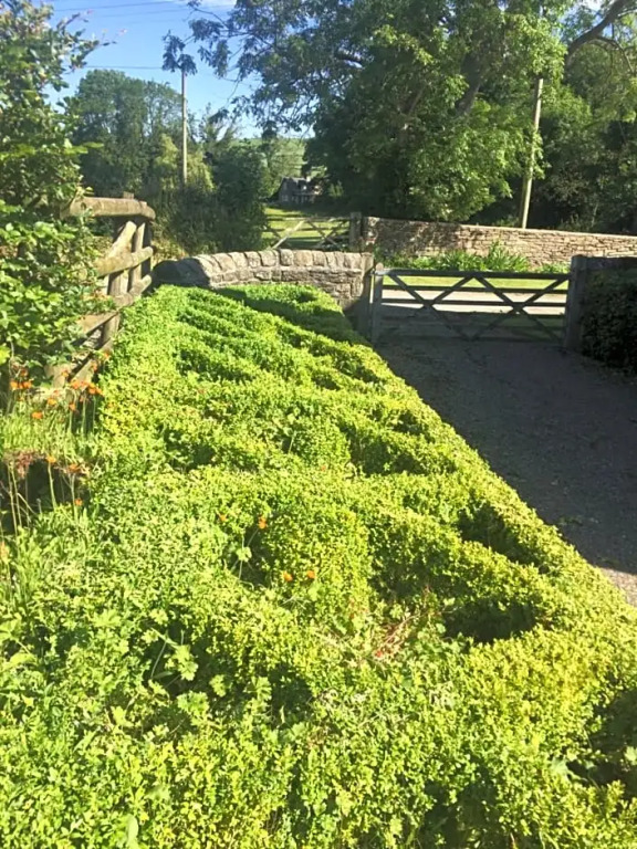 Lower House Farm B&B, Herefordshire