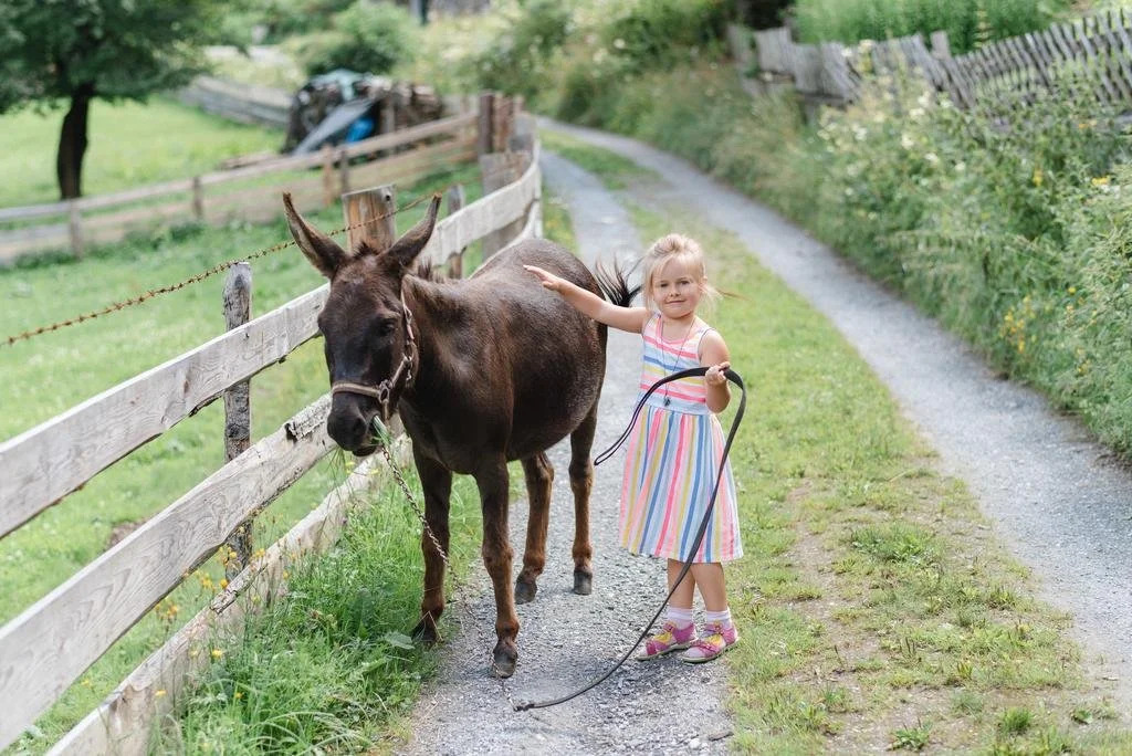 ZITTRAUERHOF - Urlaub am Bauernhof Gastein