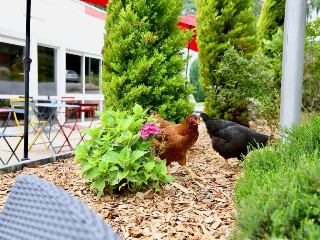 ibis Quimper