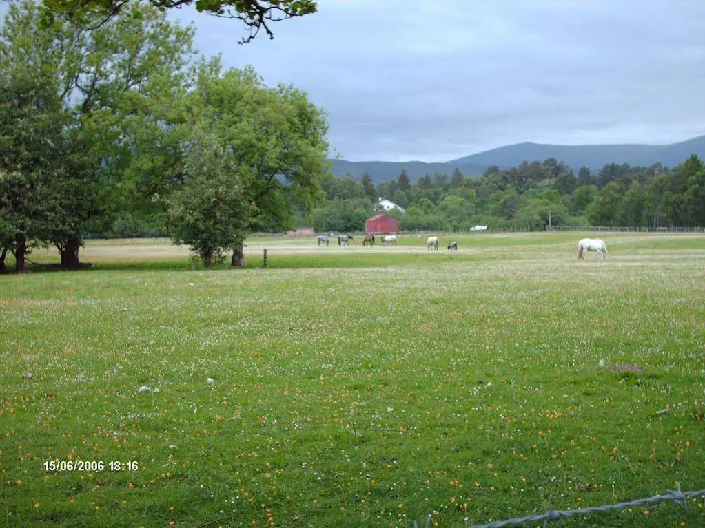 Leasona