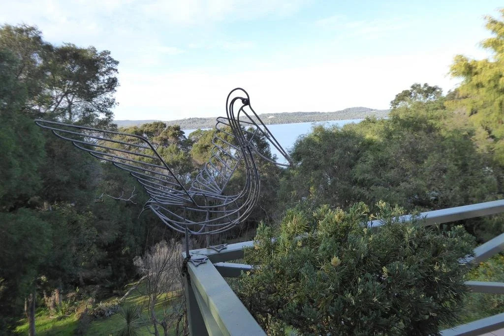 Sea Banksia