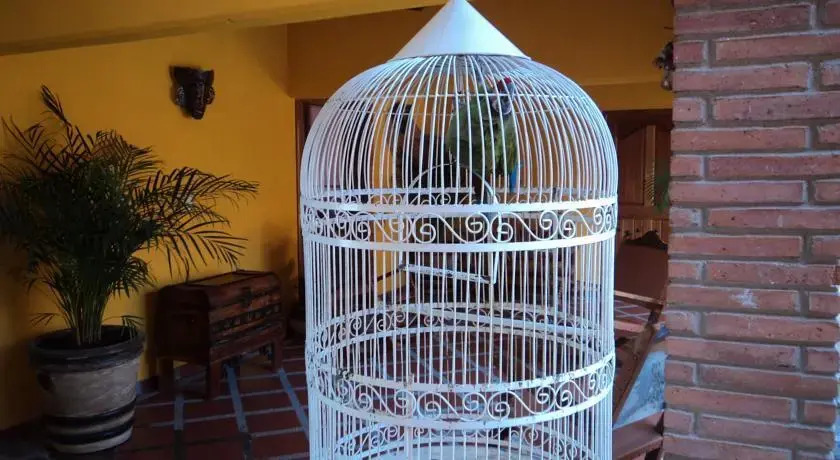 Rincon Magico