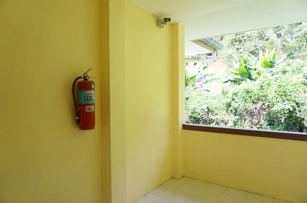 Palmy Home