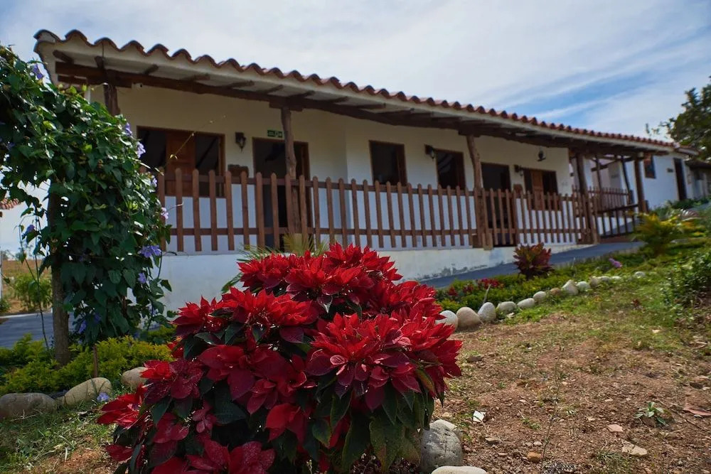 Timbarra Cottage