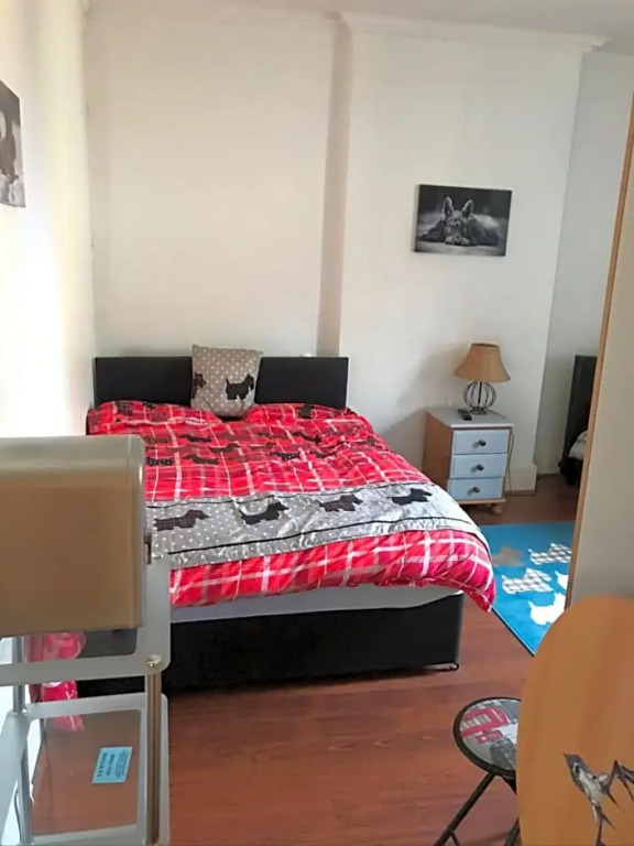Scotty dog room 2