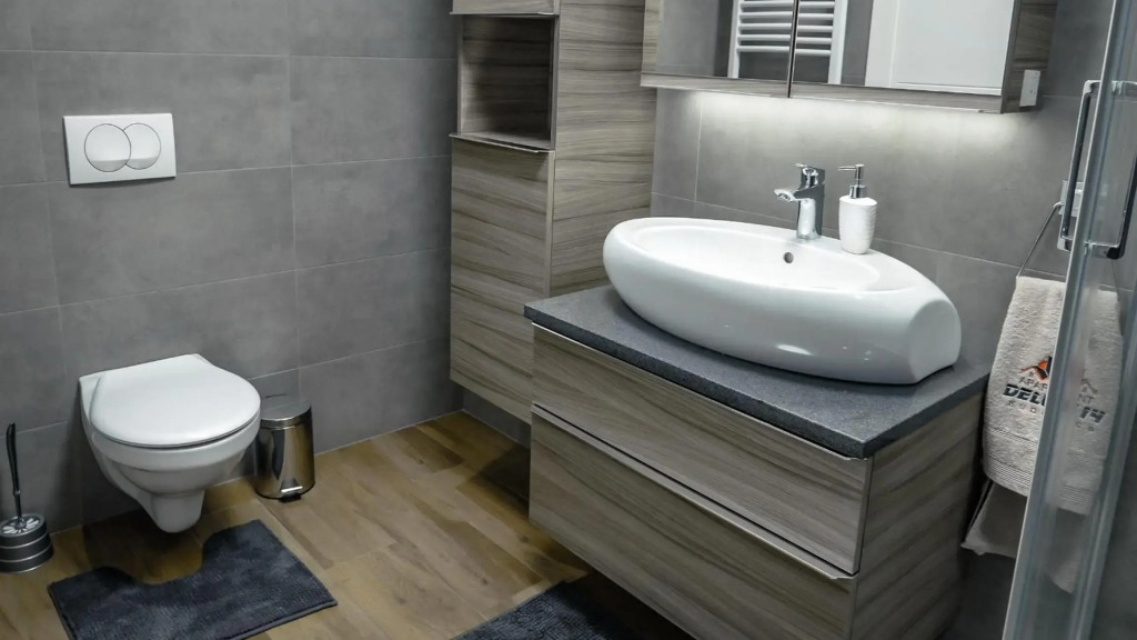 Apartment Delux 14