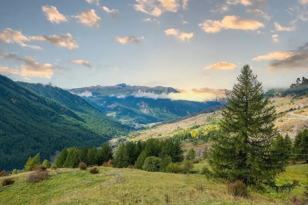 Grange Hike & Ski - 44D Sestriere