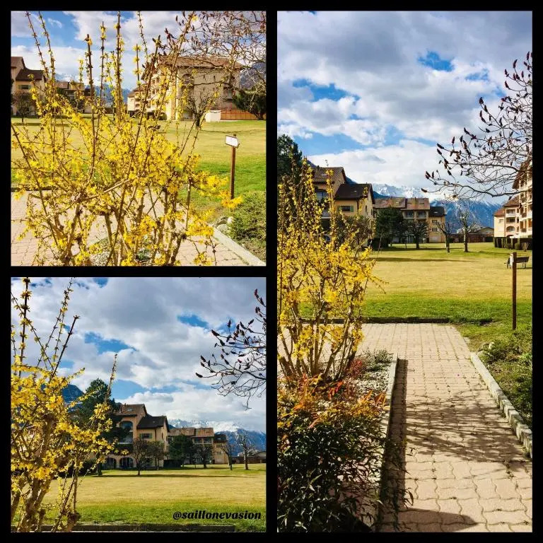 Studios & Appartements famille - Saillon Evasion