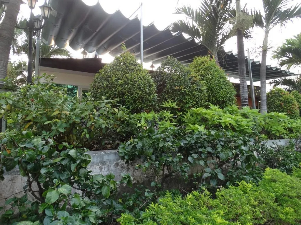 Hoai Pho Hotel