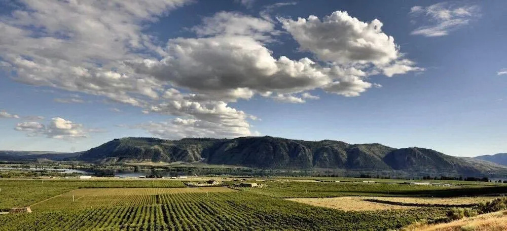 Lone Point Cellars