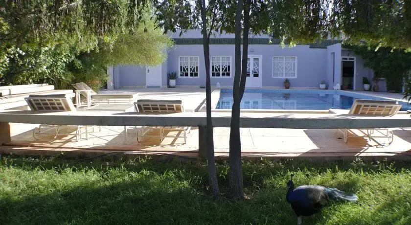 Atlas Olive Retreat