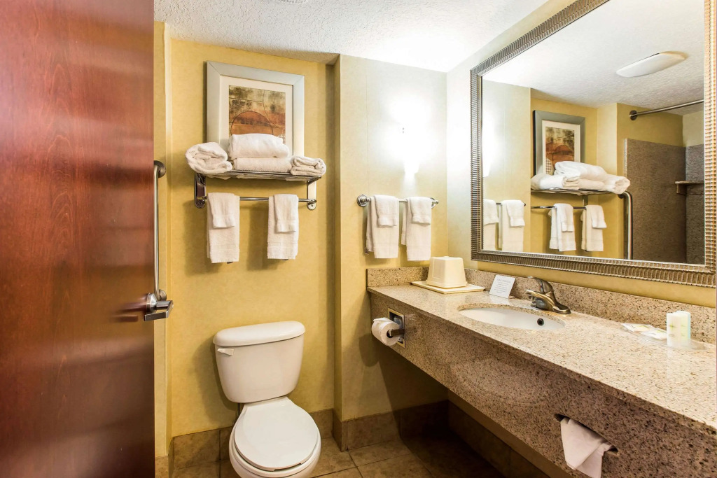 Comfort Suites Forsyth near I-75