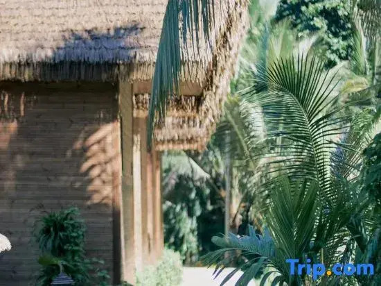 Wanning Penida Seminyak Luxury Holiday Homestay