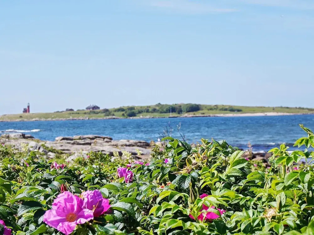 4 Star Holiday Home in Halmstad