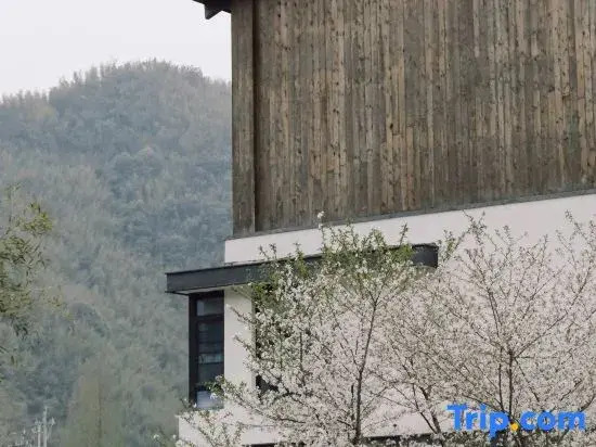 Translation: Tingjian · Moganshan | Forest Oxygen Private Hot Spring Resort Homestay