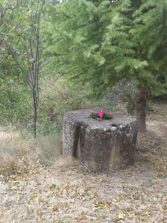 Ardetxal